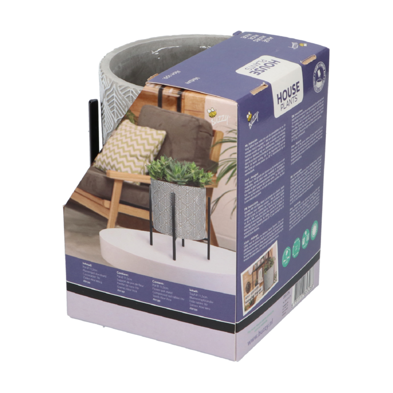 Buzzy® House Plants – plante d'intérieur avec pot Aloe Vera