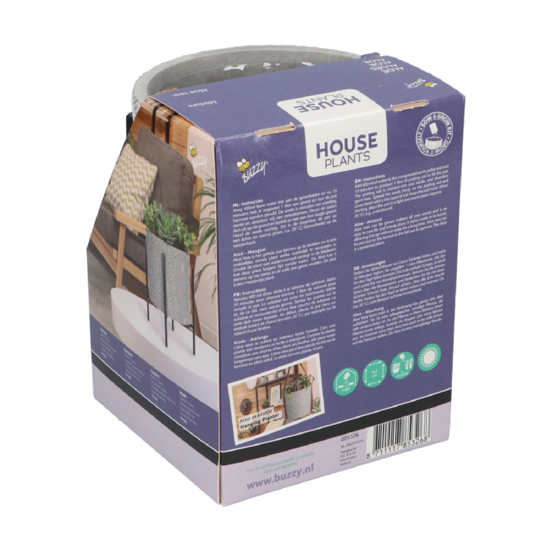 Buzzy® House Plants – plante d'intérieur avec pot Aloe Vera