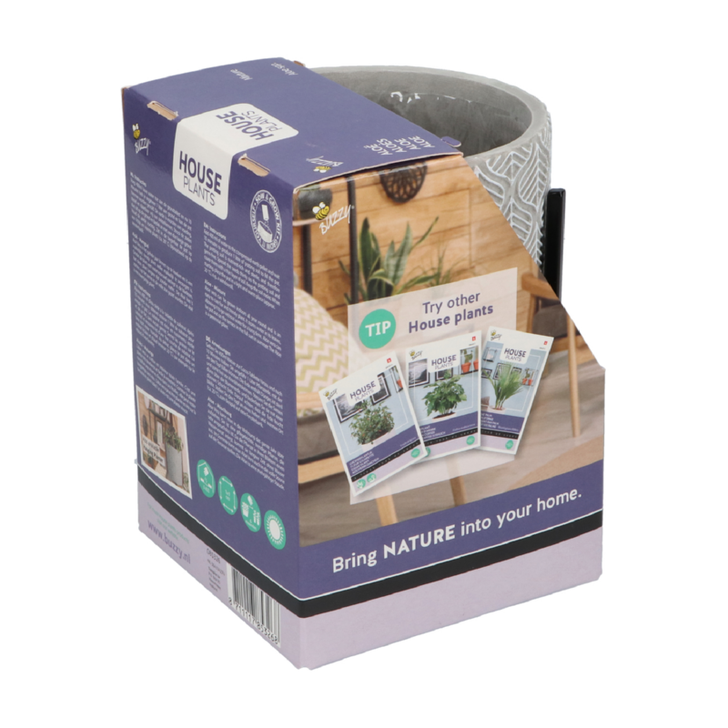 Buzzy® House Plants – plante d'intérieur avec pot Aloe Vera