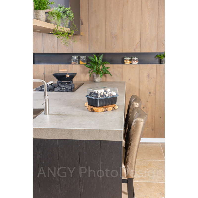 Mini Champ Home Growing Witte champignons