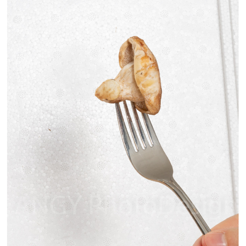 Mini Champ Home Growing Grijze oesterzwam