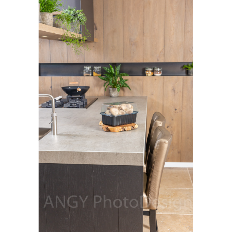 Mini Champ Home Growing Grijze oesterzwam