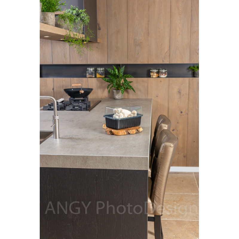 Mini Champ Home Growing Konings oester