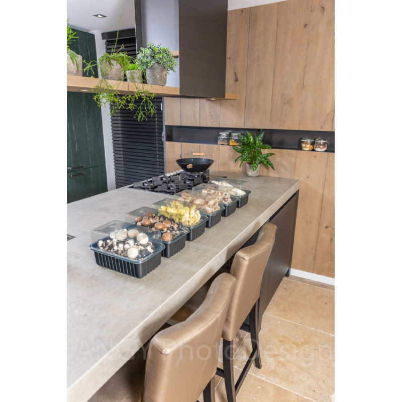 Mini Champ Home Growing display mix 48st