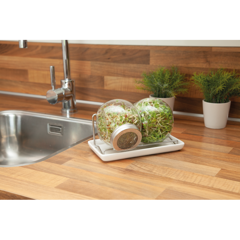 Buzzy® Organic Sprouting Duo pot met schaal BIO