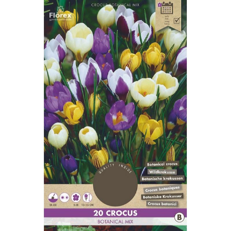 Crocus Botanisch Gemengd 5/7 20st.