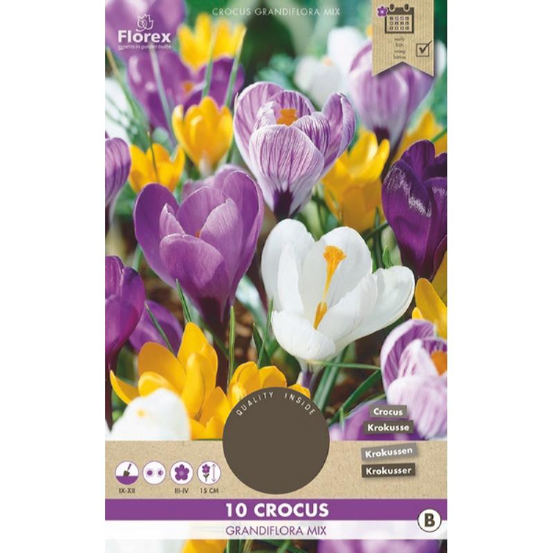 Crocus Grootbloemig Gemengd 8/9 10st.