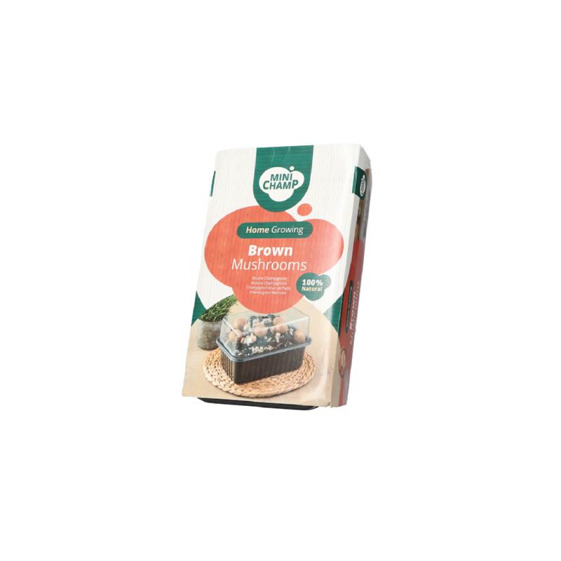 Mini Champ Home Growing Bruine champignons