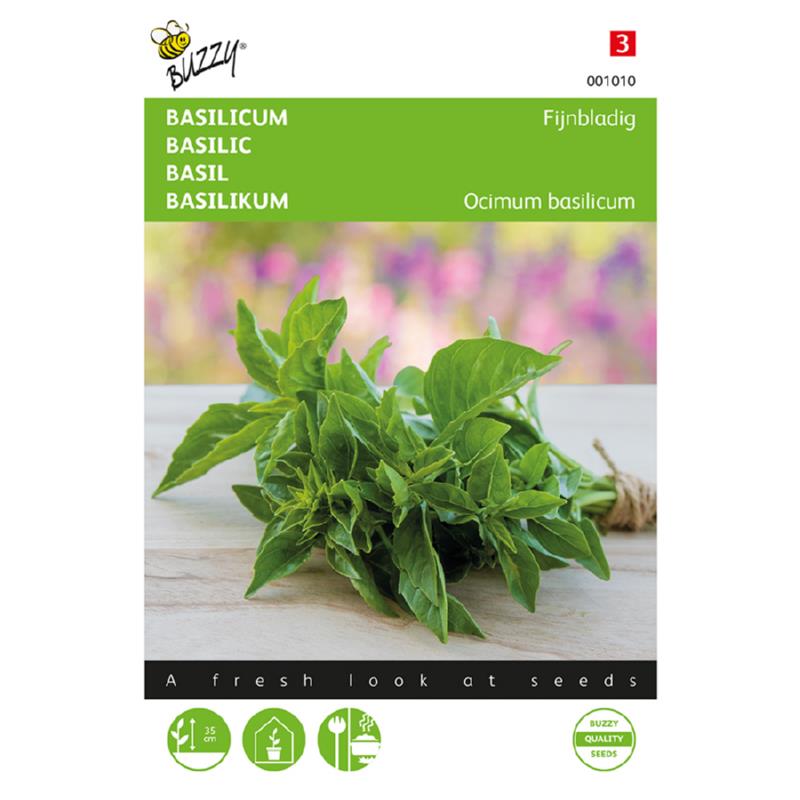Buzzy® Basilicum Fijne