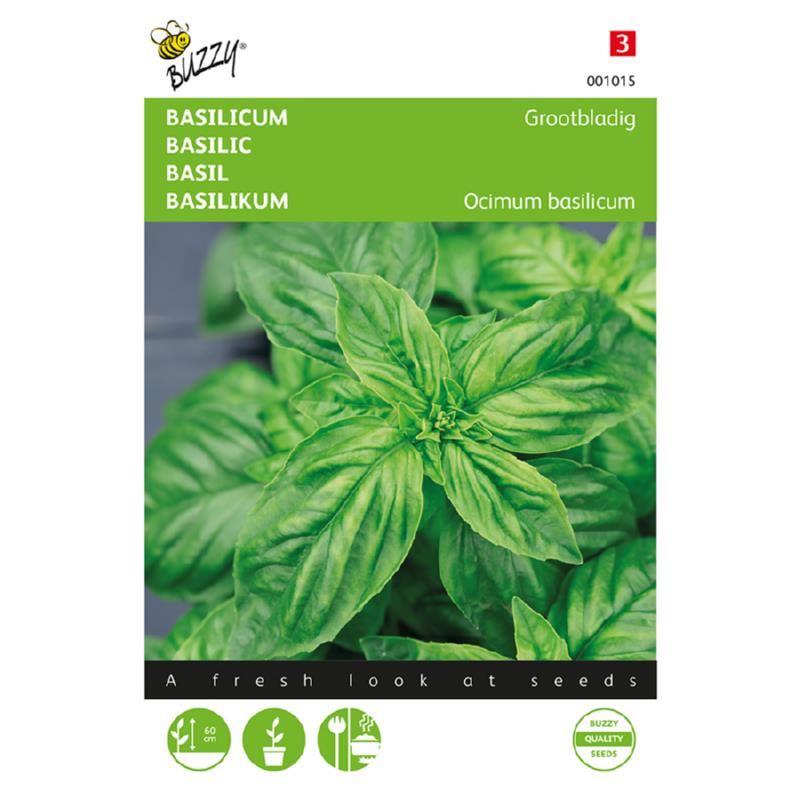 Buzzy® Basilicum Grootbladig