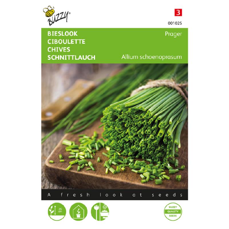 Buzzy® Bieslook Fijne