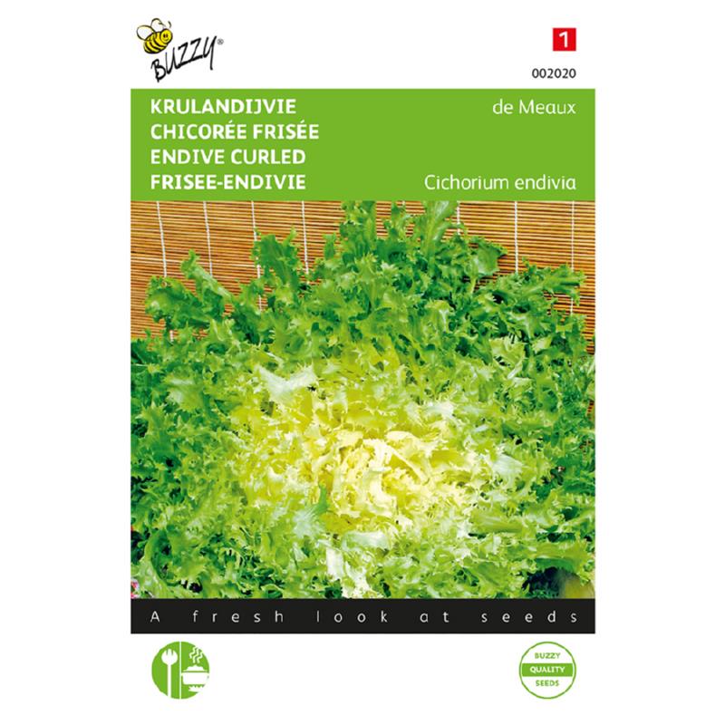 Buzzy® Krulandijvie de Meaux