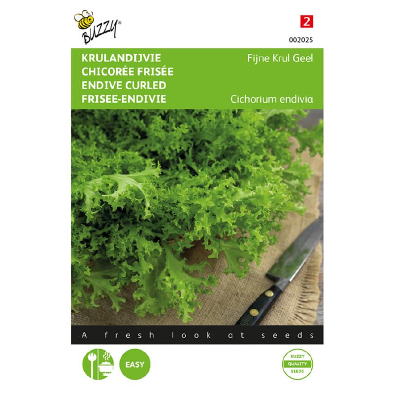 Buzzy® Krulandijvie Fijne Krul Geel/Altijd Witte