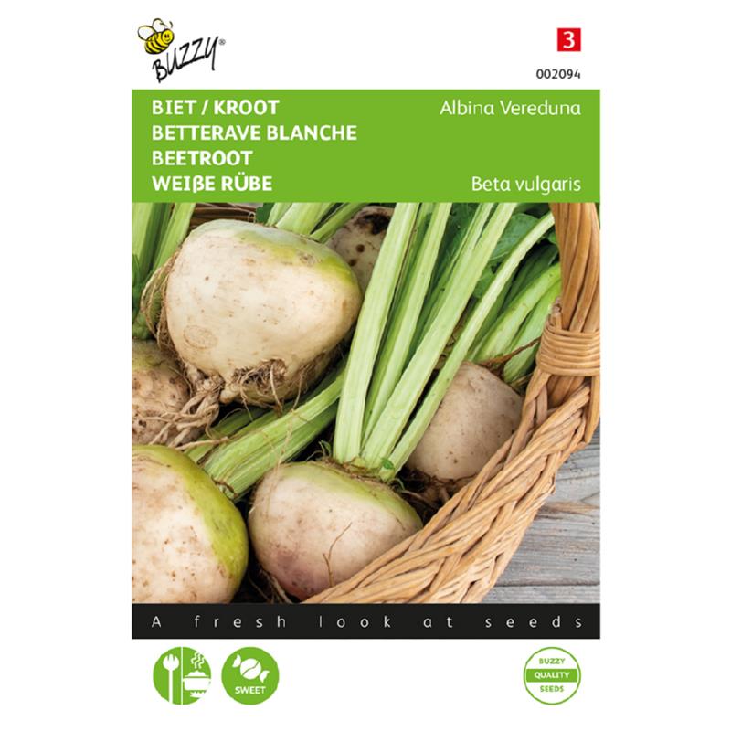 Buzzy® Bieten Albina Vereduna wit