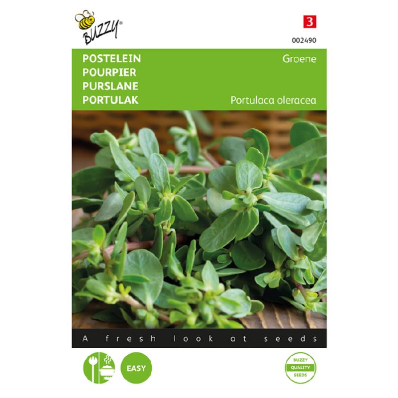 Buzzy® Postelein Groene