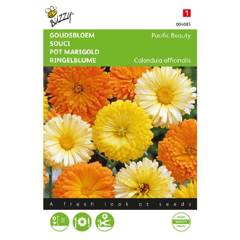 Buzzy® Calendula, Goudbloem Pacific Beauty gemengd