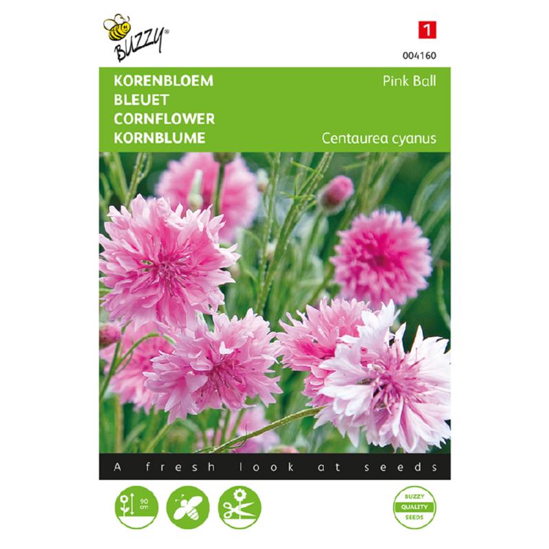 Buzzy® Centaurea, Korenbloem Pink Ball