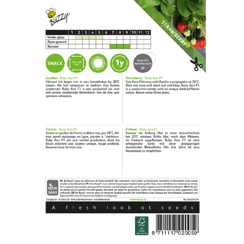 Buzzy® Fraisiers Ruby Ann F1