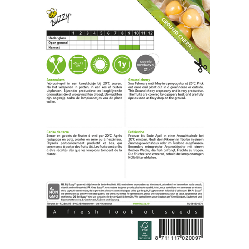 Buzzy® Ananaskers Physalis pruinosa