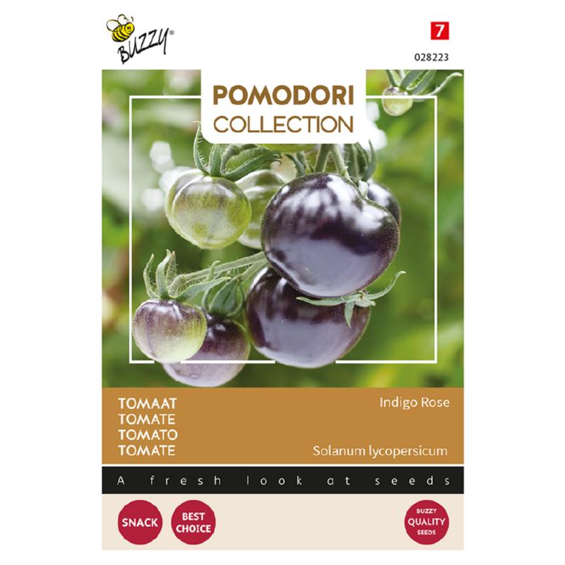 Buzzy® Pomodori, Tomaat Indigo rose (zwart)