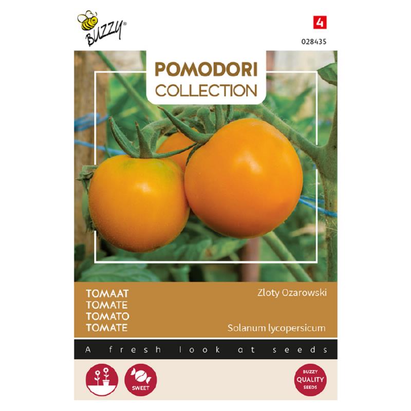 Buzzy® Pomodori, Tomaat Zloty Ozarowski