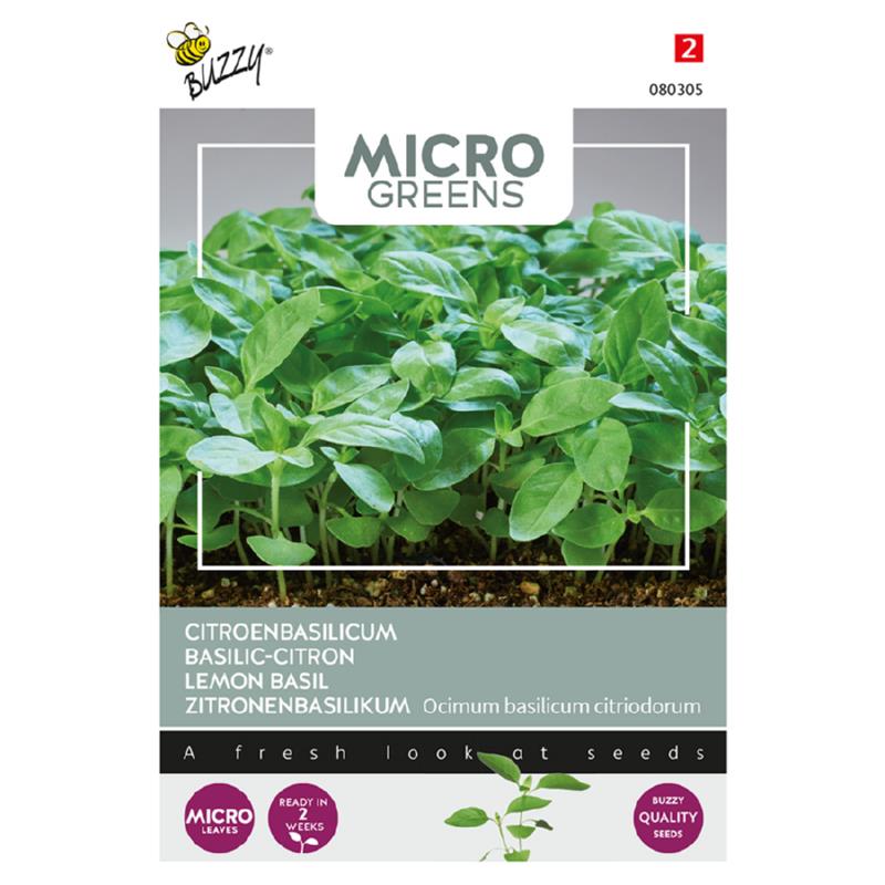 Buzzy® Microgreens, Citroenbasilicum