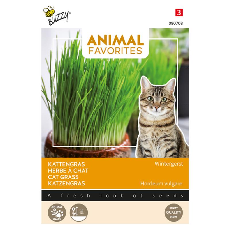 Buzzy® Animal Favorites Kattengras