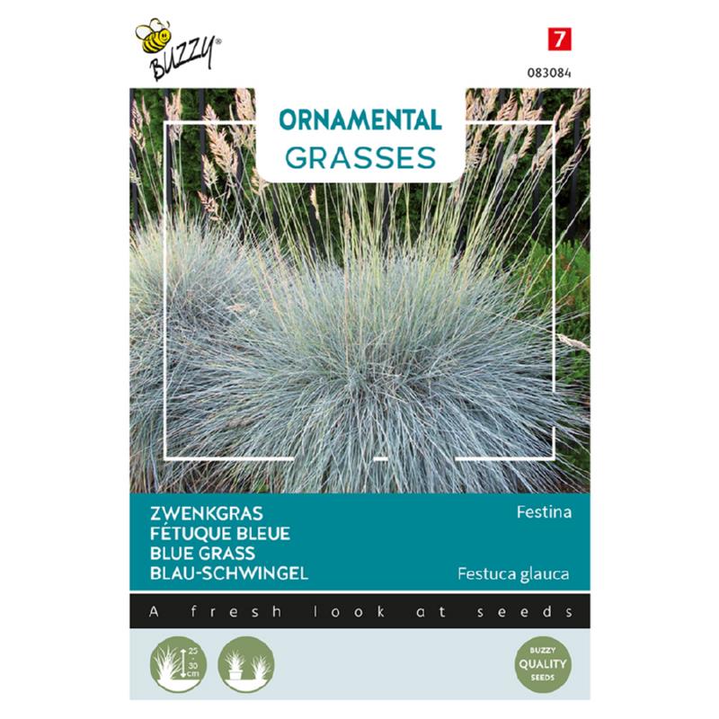 Buzzy® Ornamental Grasses, Zwenkgras 'Festina'