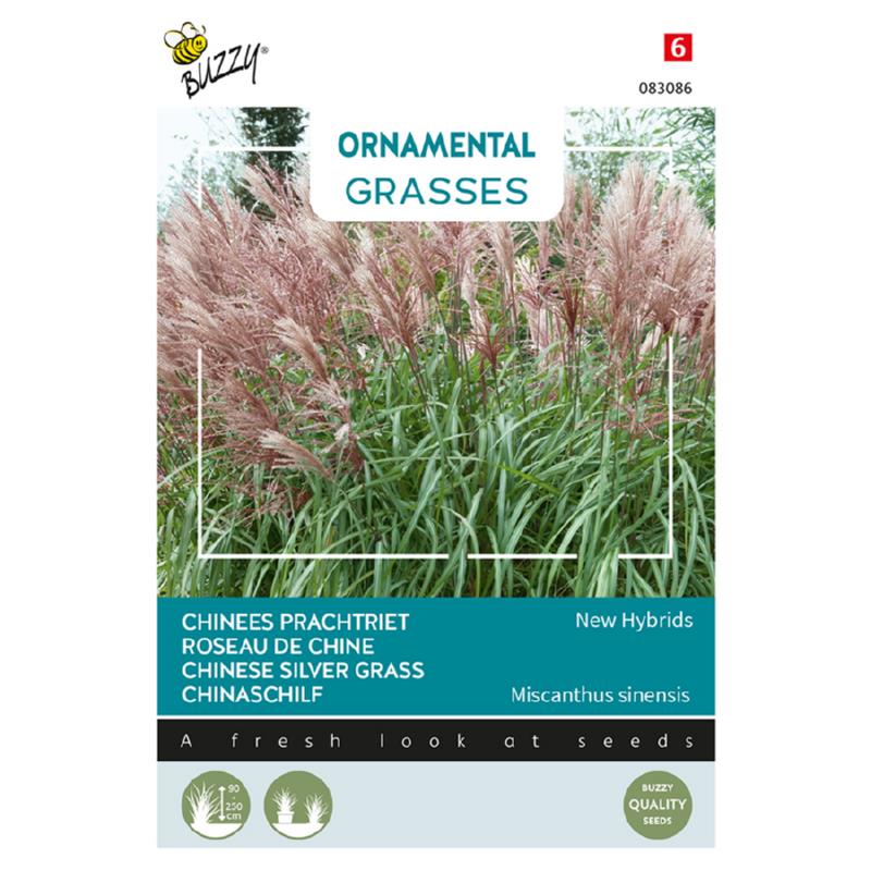 Buzzy® Ornamental Grasses Chinees prachtriet 'New Hybrids'