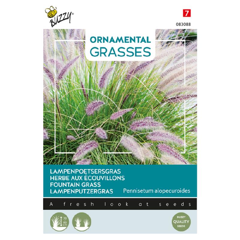 Buzzy® Ornamental Grasses, Lampenpoetsersgras