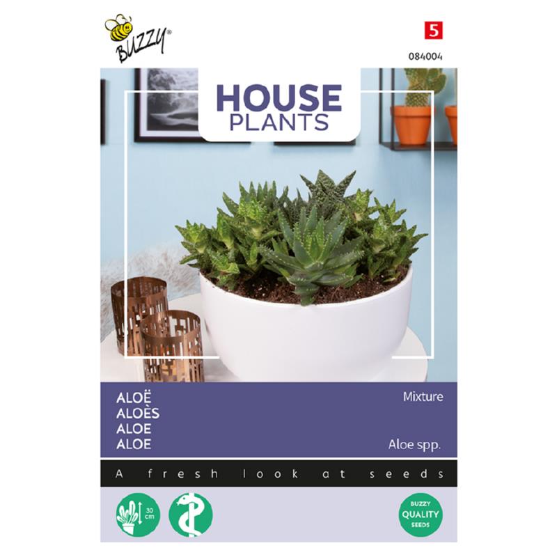 Buzzy® House Plants Aloë gemengde soorten