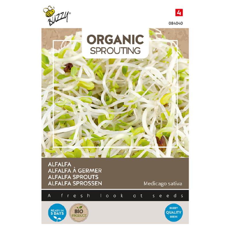 Buzzy® Organic Sprouting Alfalfa (BIO)