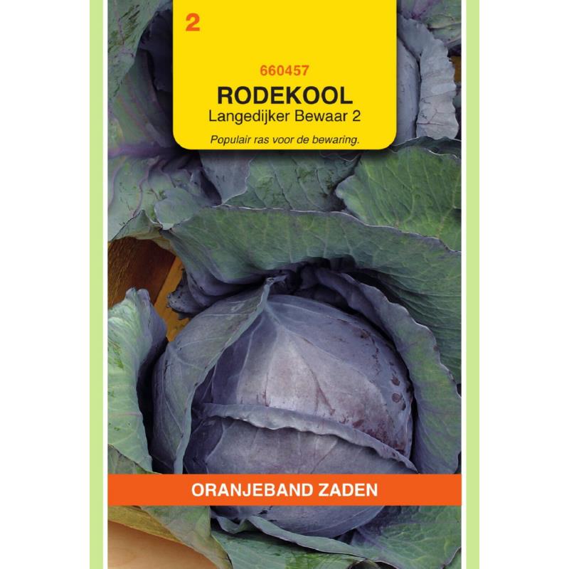 OBZ Rode Kool Langedijker Bewaar 2