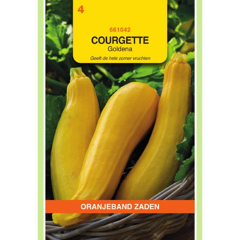 OBZ Courgette Goldena