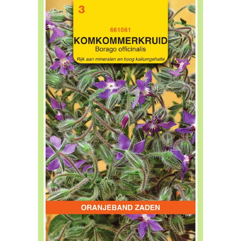 OBZ Borage Komkommerkruid