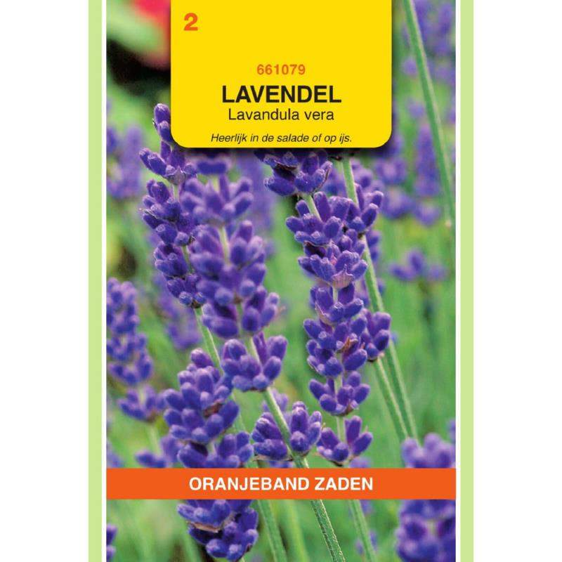 OBZ Lavendel