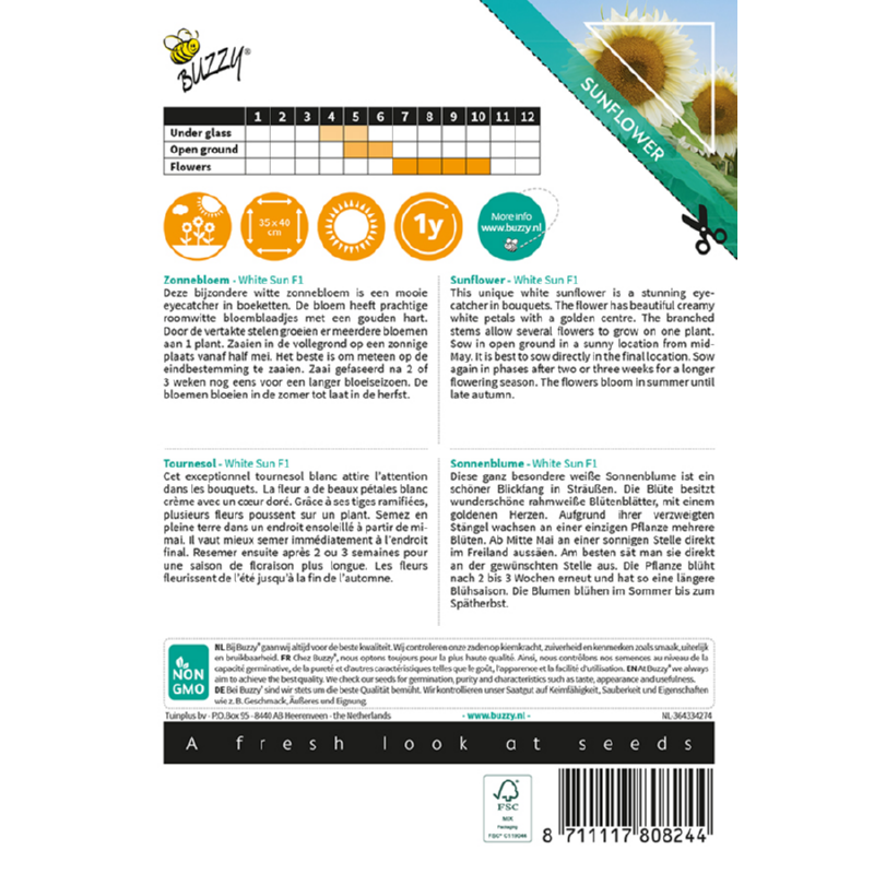 Buzzy® Sunny Flowers, Zonnebloem White Sun F1