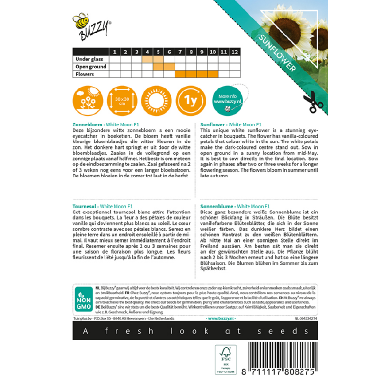 Buzzy® Sunny Flowers, Zonnebloem White Moon F1