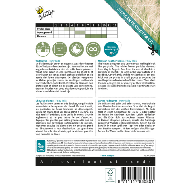 Buzzy® Ornamental Grasses, Vedergras Pony tails