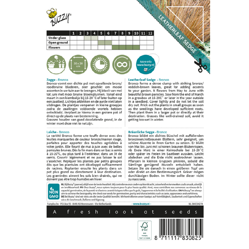Buzzy® Ornamental Grasses, Zegge 'Bronco'