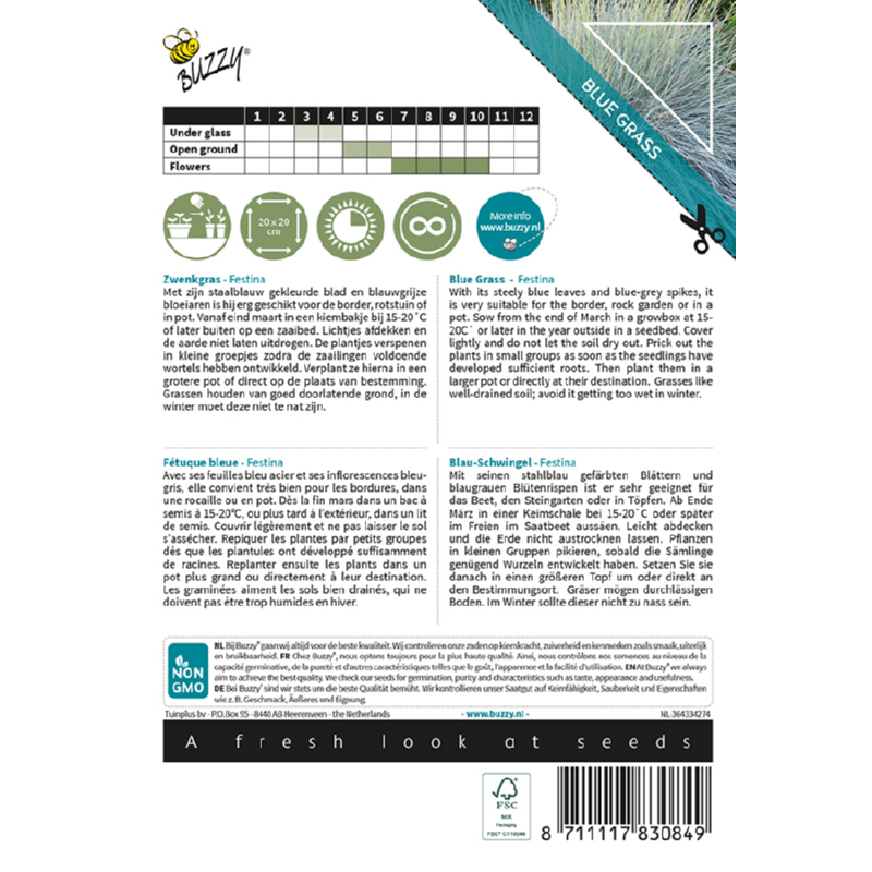 Buzzy® Ornamental Grasses, Zwenkgras 'Festina'