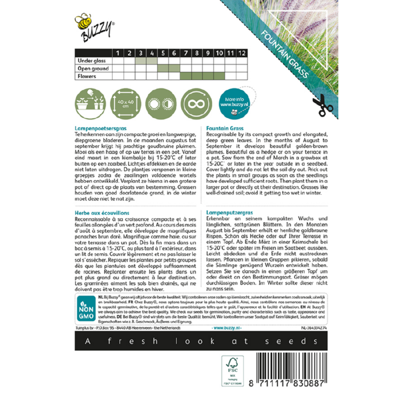 Buzzy® Ornamental Grasses, Lampenpoetsersgras