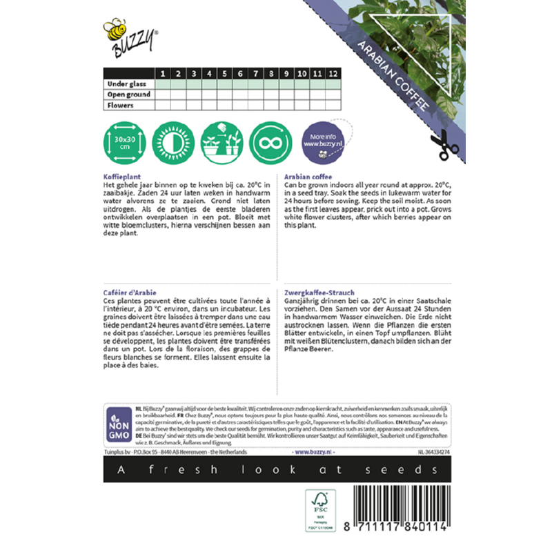 Buzzy® House Plants Coffea Arabica, Caféier d'Arabie