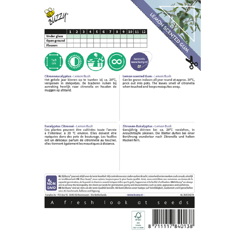 Buzzy® House Plants Eucalypthus, Lemon Bush