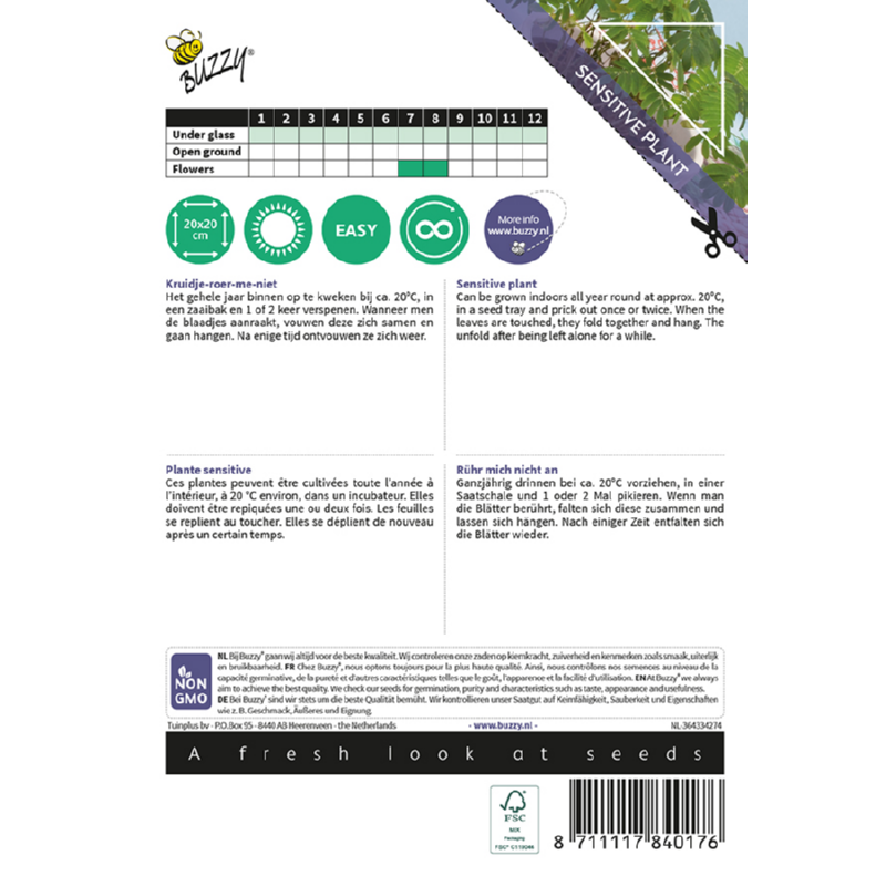 Buzzy® House Plants Mimosa pudica, Kruidje roer me niet