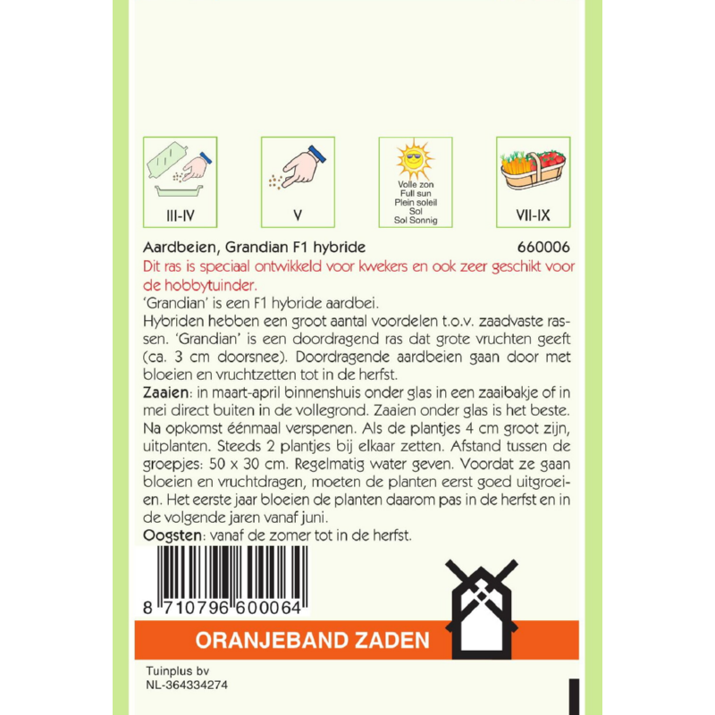 Oranjeband® Fraisiers Grandian Hybride F1