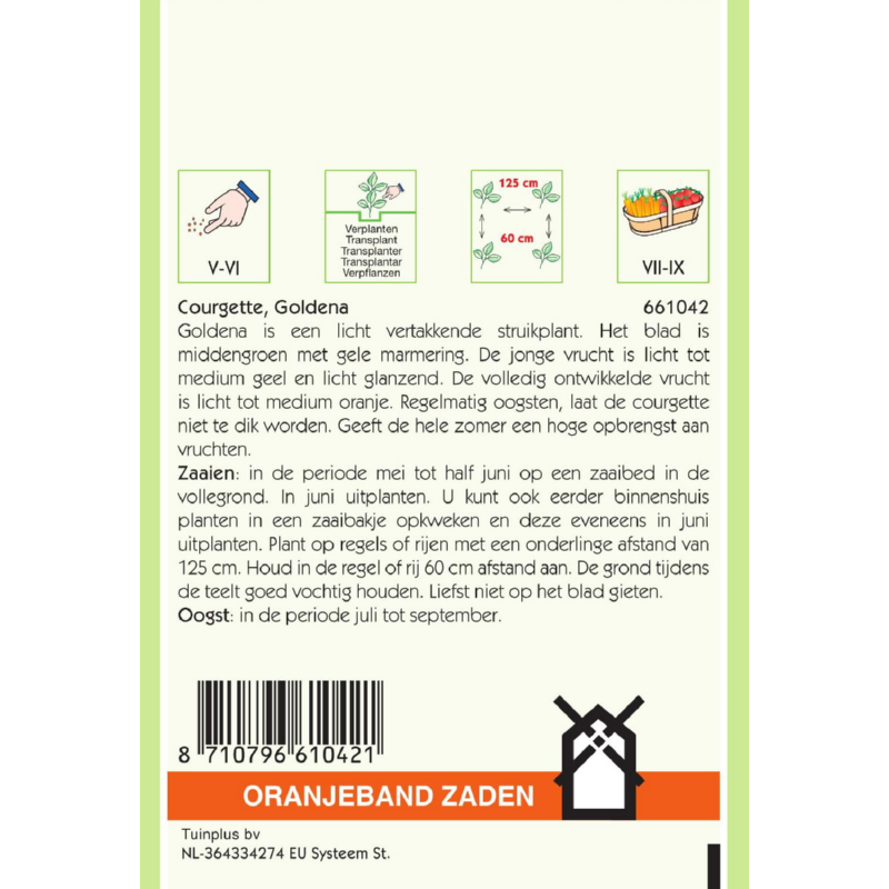 OBZ Courgette Goldena