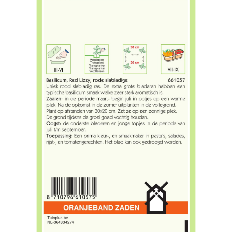 OBZ Basilicum Rode slabladige Red Lizzy