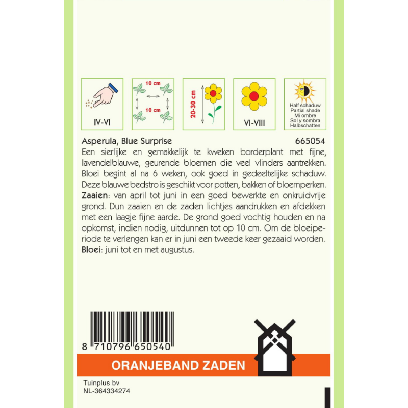 OBZ Asperula, Blauwe Bedstro Blue Surprise