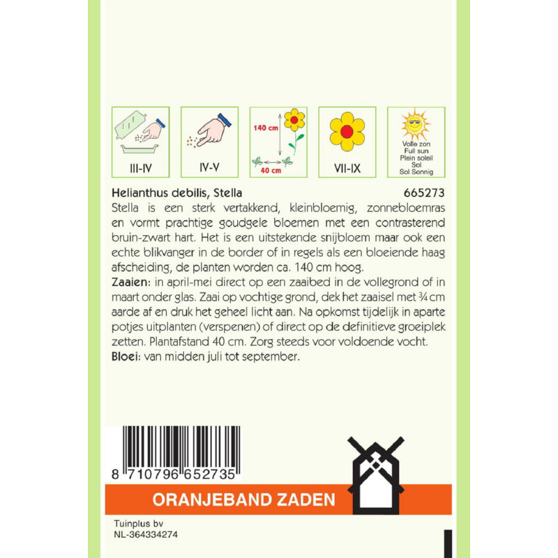 OBZ Helianthus, miniatuur Zonnebloem Stella